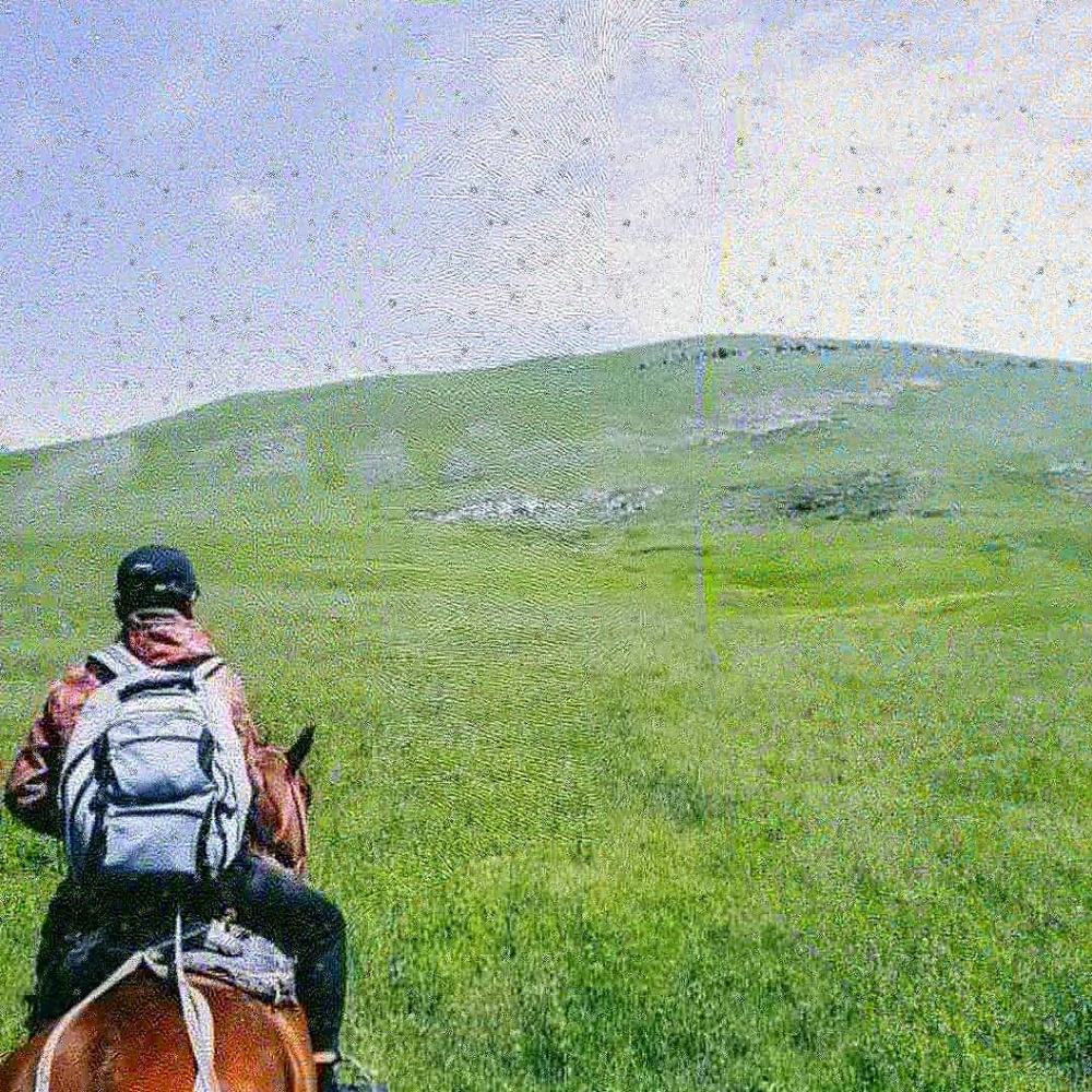 Meet your Posher, Brooks